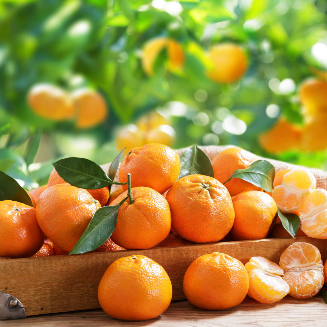 Tinh dầu Quýt - Tangerine Essential Oil